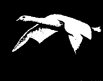 Flying Bridge graphic