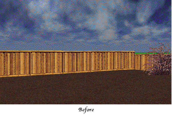 Animated image